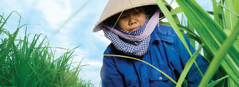 Trách nhiệm xã hội