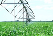 Hệ thống tưới tiêu trên nông trường mía BHS