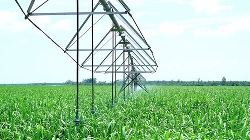 Center Pivot (C.P) irrigation system at Thanh Long Bien Hoa Farm