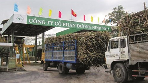 Xe chở mía về công ty Đường Ninh Hoà