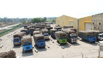 Điện thương phẩm