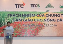 Doanh nghiệp mía đường trăn trở làm giàu cho nông dân