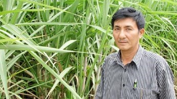 Khá lên từ mía Khá lên từ mía