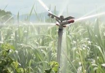 Hỗ trợ 2 tỷ đồng kéo đường điện hạ thế để nông dân tưới mía