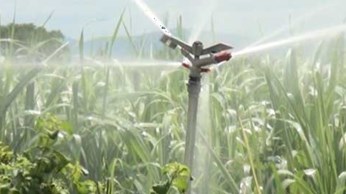 Hỗ trợ 2 tỷ đồng kéo đường điện hạ thế để nông dân tưới mía Hỗ trợ 2 tỷ đồng kéo đường điện hạ thế để nông dân tưới mía