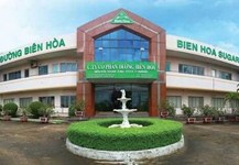 Chiến lược tăng vốn để mở rộng quy mô của Đường Biên Hòa