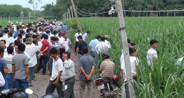 Tưới béc quay giúp tăng năng suất mía
