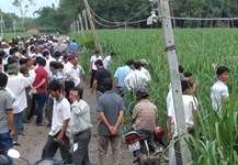 Tưới béc quay giúp tăng năng suất mía