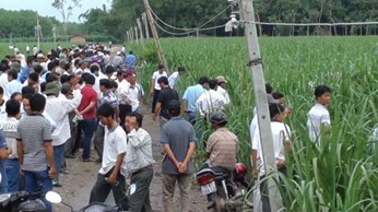 Tưới béc quay giúp tăng năng suất mía Tưới béc quay giúp tăng năng suất mía