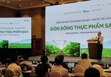 Phải lấy lại niềm tin tiêu dùng
