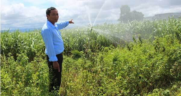 Giải cơn khát vùng nguyên liệu mía