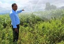 Giải cơn khát vùng nguyên liệu mía