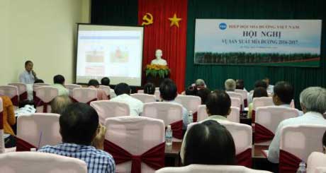 Dự kiến sản lượng ép mía đạt 15 triệu tấn niên vụ 2016-2017