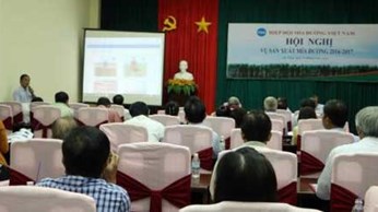 Dự kiến sản lượng ép mía đạt 15 triệu tấn niên vụ 2016-2017 Dự kiến sản lượng ép mía đạt 15 triệu tấn niên vụ 2016-2017