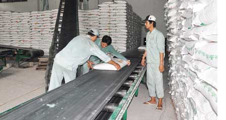 Ngành mía đường - Tìm giải pháp nâng cao năng lực cạnh tranh