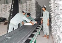 Ngành mía đường - Tìm giải pháp nâng cao năng lực cạnh tranh