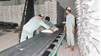 Ngành mía đường - Tìm giải pháp nâng cao năng lực cạnh tranh Ngành mía đường - Tìm giải pháp nâng cao năng lực cạnh tranh