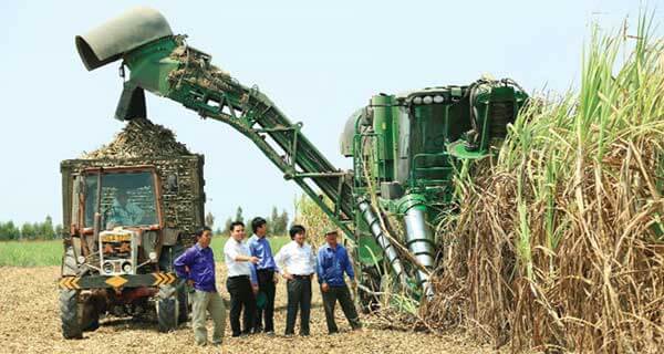 Chủ động vùng nguyên liệu mía cho niên vụ mới