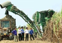 Gia tăng giá trị sản phẩm đường: Đầu tư chiều sâu