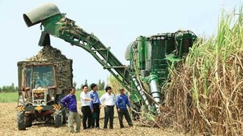 Gia tăng giá trị sản phẩm đường: Đầu tư chiều sâu Gia tăng giá trị sản phẩm đường: Đầu tư chiều sâu