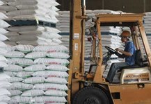 Giá đường cao nhất trong 4 năm