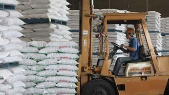 Giá đường cao nhất trong 4 năm Giá đường cao nhất trong 4 năm