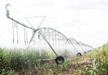 Giải bài toán nguyên liệu mía cho niên vụ 2016 - 2017