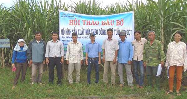 Trồng mía theo công nghệ tưới nhỏ giọt mang lại hiệu quả kinh tế cao