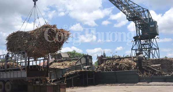 Kiến nghị đấu giá hạn ngạch nhập khẩu đường trong quý 3/2017