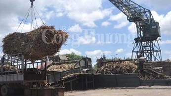 Kiến nghị đấu giá hạn ngạch nhập khẩu đường trong quý 3/2017 Kiến nghị đấu giá hạn ngạch nhập khẩu đường trong quý 3/2017