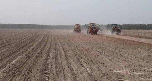 Xây dựng cánh đồng lớn- xu hướng phát triển cho ngành Mía đường