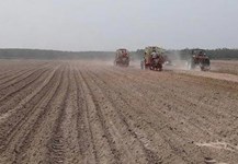 Xây dựng cánh đồng lớn- xu hướng phát triển cho ngành Mía đường