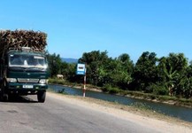 VSSA: cuối năm, giá đường vẫn ổn định