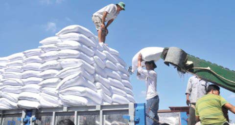 Kiến nghị tiếp tục đấu giá hạn ngạch nhập khẩu đường 2017