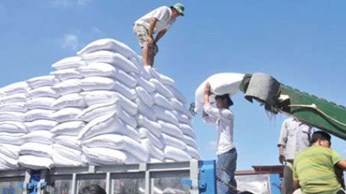 Kiến nghị tiếp tục đấu giá hạn ngạch nhập khẩu đường 2017 Kiến nghị tiếp tục đấu giá hạn ngạch nhập khẩu đường 2017