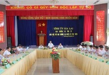 Phú Thiên đã có cánh đồng mía lớn với 100% diện tích và số hộ tham gia là người đồng bào dân tộc thiểu số