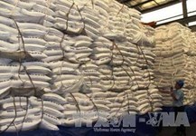 Sẽ đấu giá hạn ngạch nhập 89.500 tấn đường