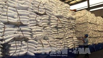 Sẽ đấu giá hạn ngạch nhập 89.500 tấn đường Sẽ đấu giá hạn ngạch nhập 89.500 tấn đường