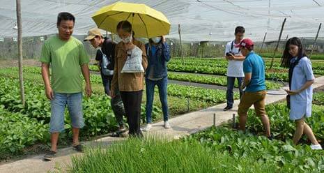 ‘Cơn sốt’ nông nghiệp organic