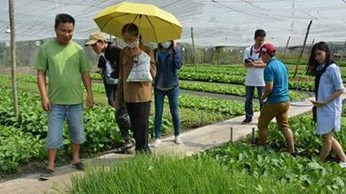 ‘Cơn sốt’ nông nghiệp organic ‘Cơn sốt’ nông nghiệp organic