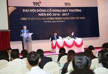 Công ty CP Mía đường Thành Thành Công Tây Ninh và Công ty CP Đường Biên Hòa: Sáp nhập để 'so găng' với ngành đường thế giới