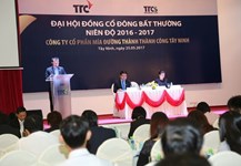 Mía đường Thành Thành Công Tây Ninh sáp nhập với Đường Biên Hoà