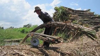 Hội thảo cơ hội và thách thức của ngành mía đường Hội thảo cơ hội và thách thức của ngành mía đường