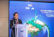 Tái cơ cấu ngành mía đường: Kinh nghiệm quốc tế, giải pháp cho ngành đường Việt Nam