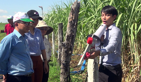 Nông dân trồng mía bằng hệ thống tự động