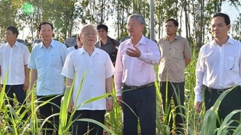 Khởi sắc kinh tế vùng biên Khởi sắc kinh tế vùng biên