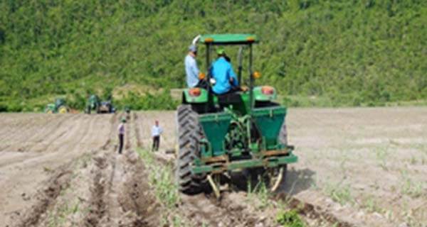 Thành thành công Gia Lai: Đẩy mạnh khuyến nông trên cây mía