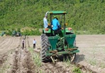 Thành thành công Gia Lai: Đẩy mạnh khuyến nông trên cây mía