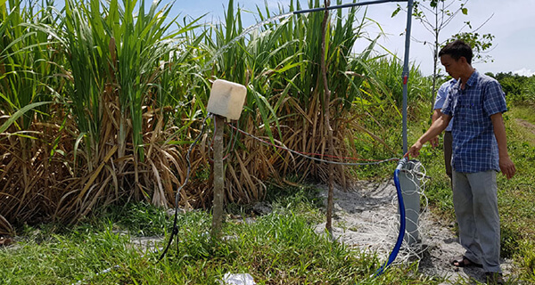 Mô hình tưới mía bằng năng lượng mặt trời nhiều triển vọng