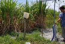 Mô hình tưới mía bằng năng lượng mặt trời nhiều triển vọng